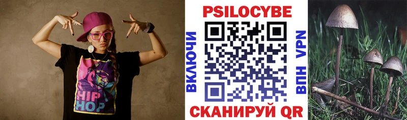 закладки  Нижняя Тура  Галлюциногенные грибы мицелий 